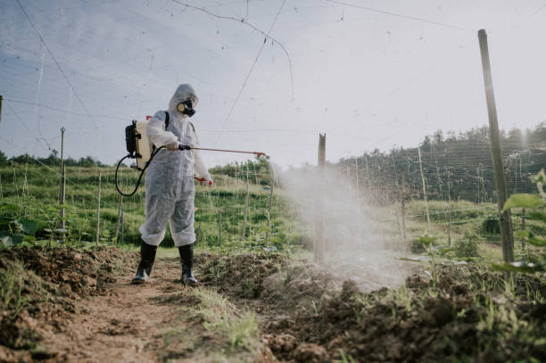 Best Mosquito Control Services  in Columbia, PA