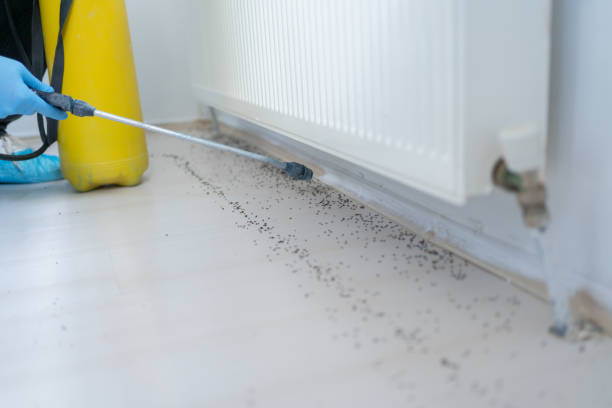 Best Flea Control Services  in Columbia, PA